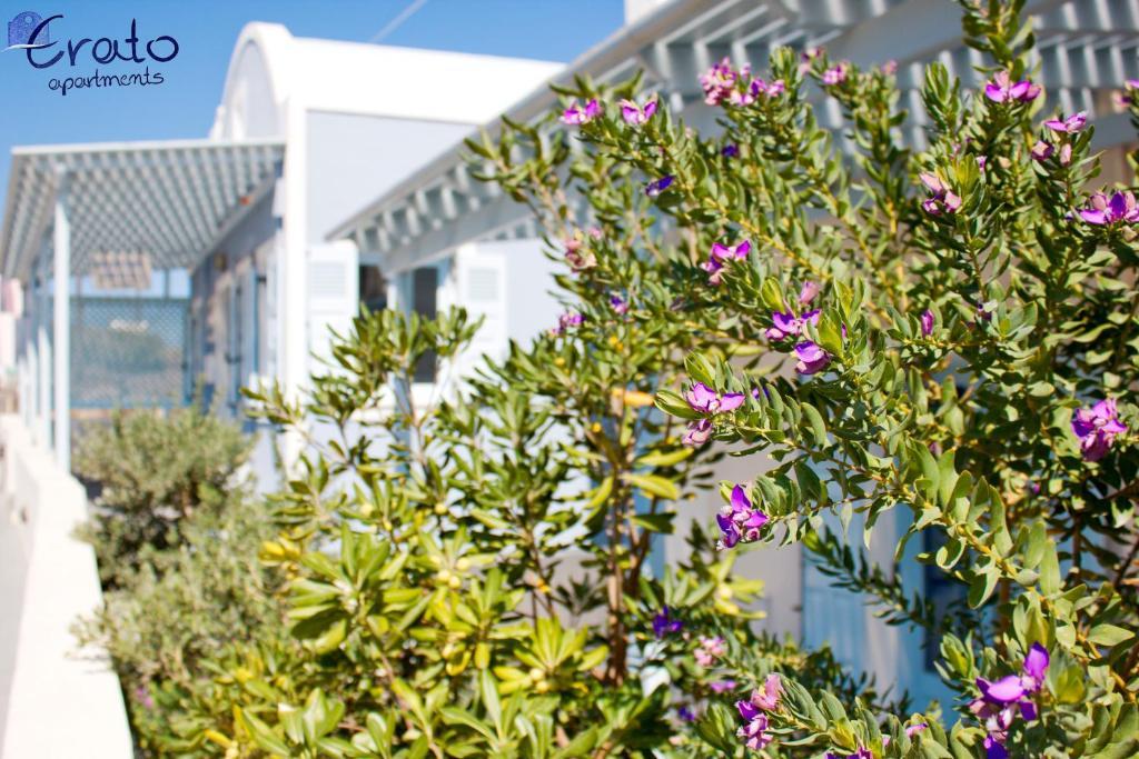 Erato Apartments Fira  Exteriér fotografie